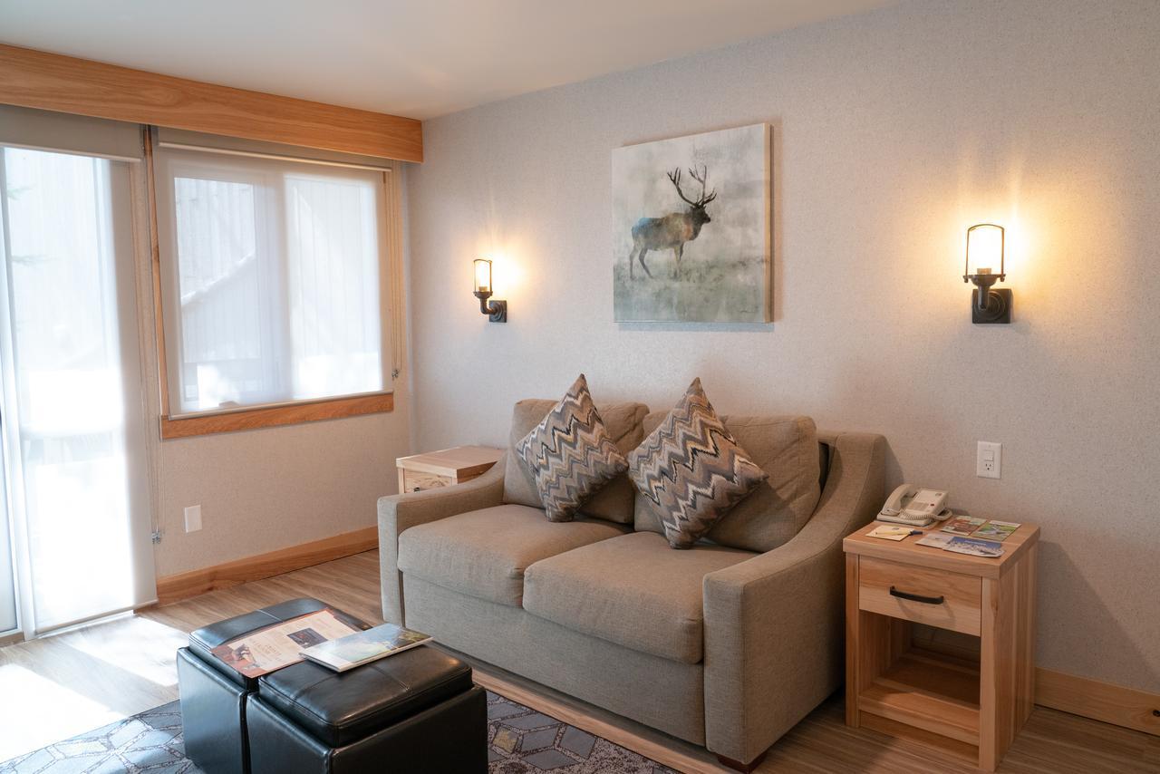 Studio Appartement